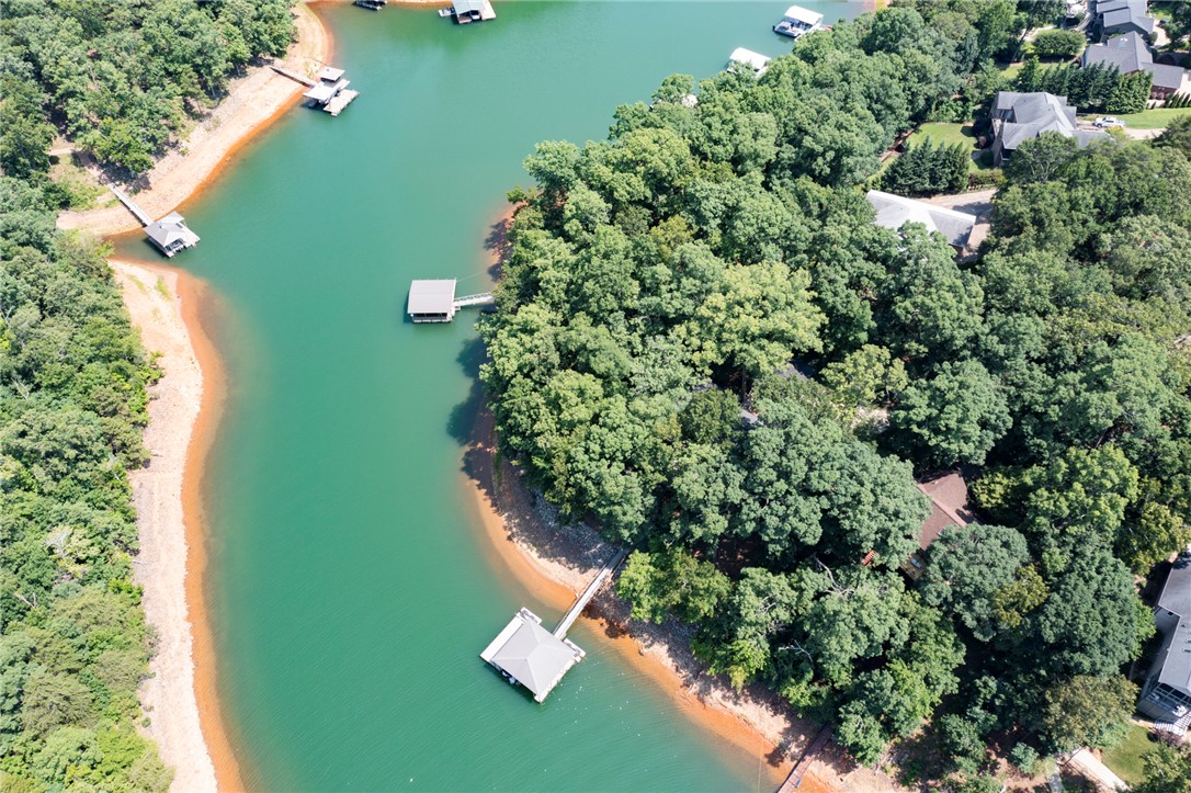202 Plantation Point Anderson, SC 29625 - Photo 1 of 48 A tranquil lakefront property featuring private boat docks and lush, mature trees framing the shoreline.