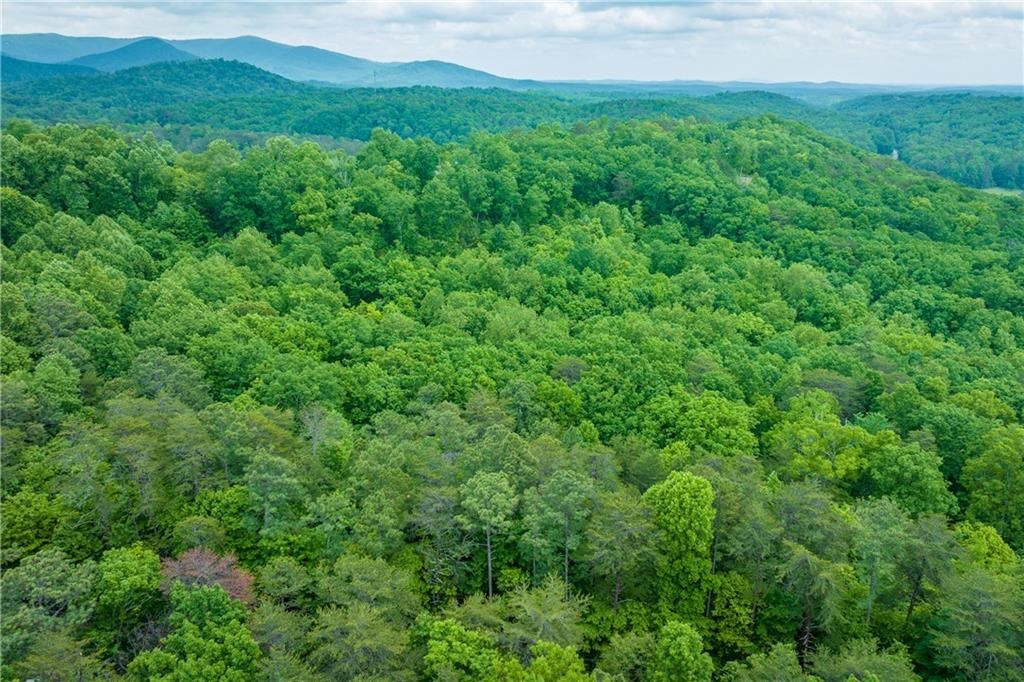 595 Bull Gap Road Talking Rock, GA 30175 - Photo 60 of 71 Gallery Image 60