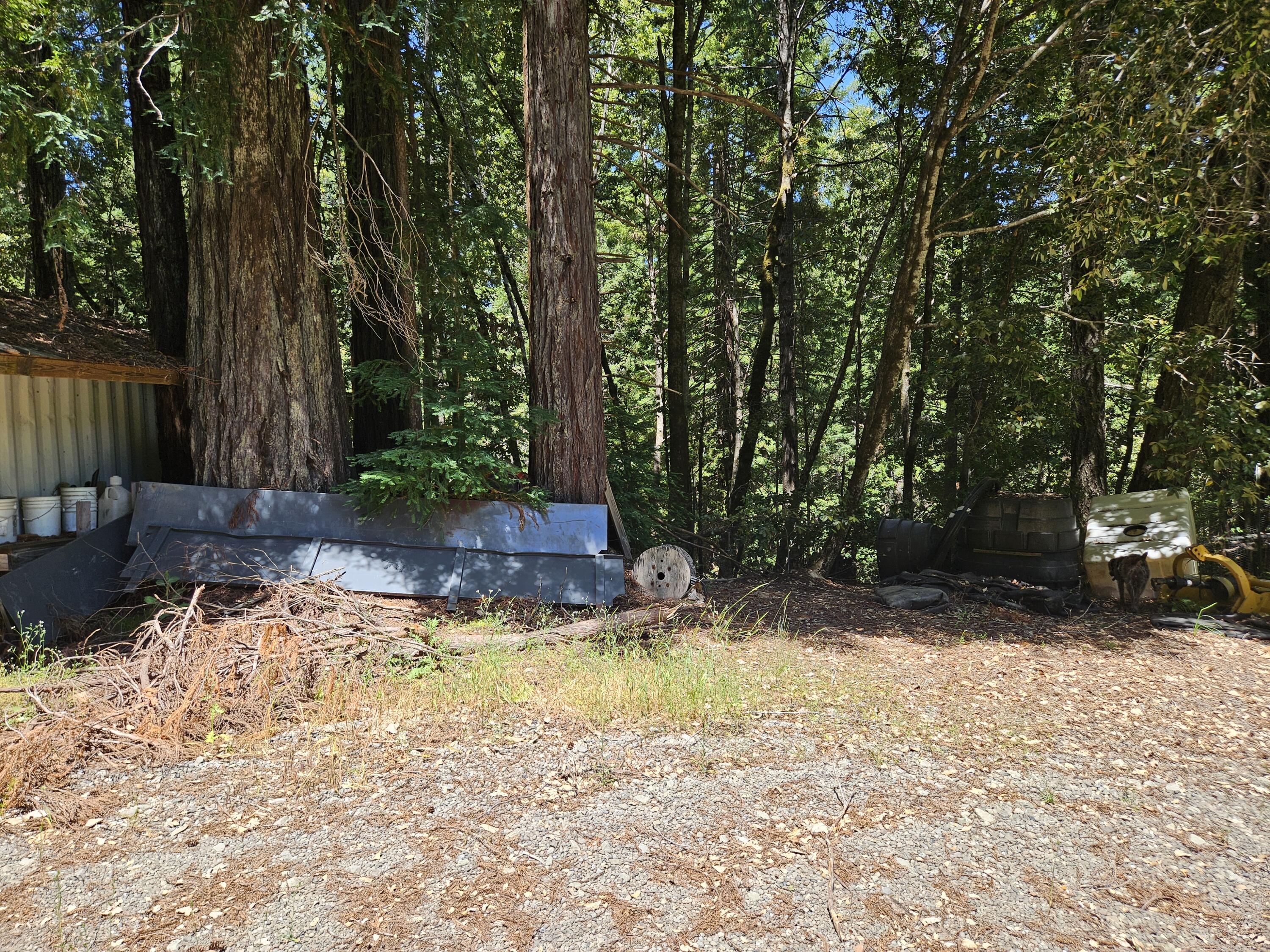 245 Twin Trees Road Garberville, CA 95542 - Photo 4 of 7