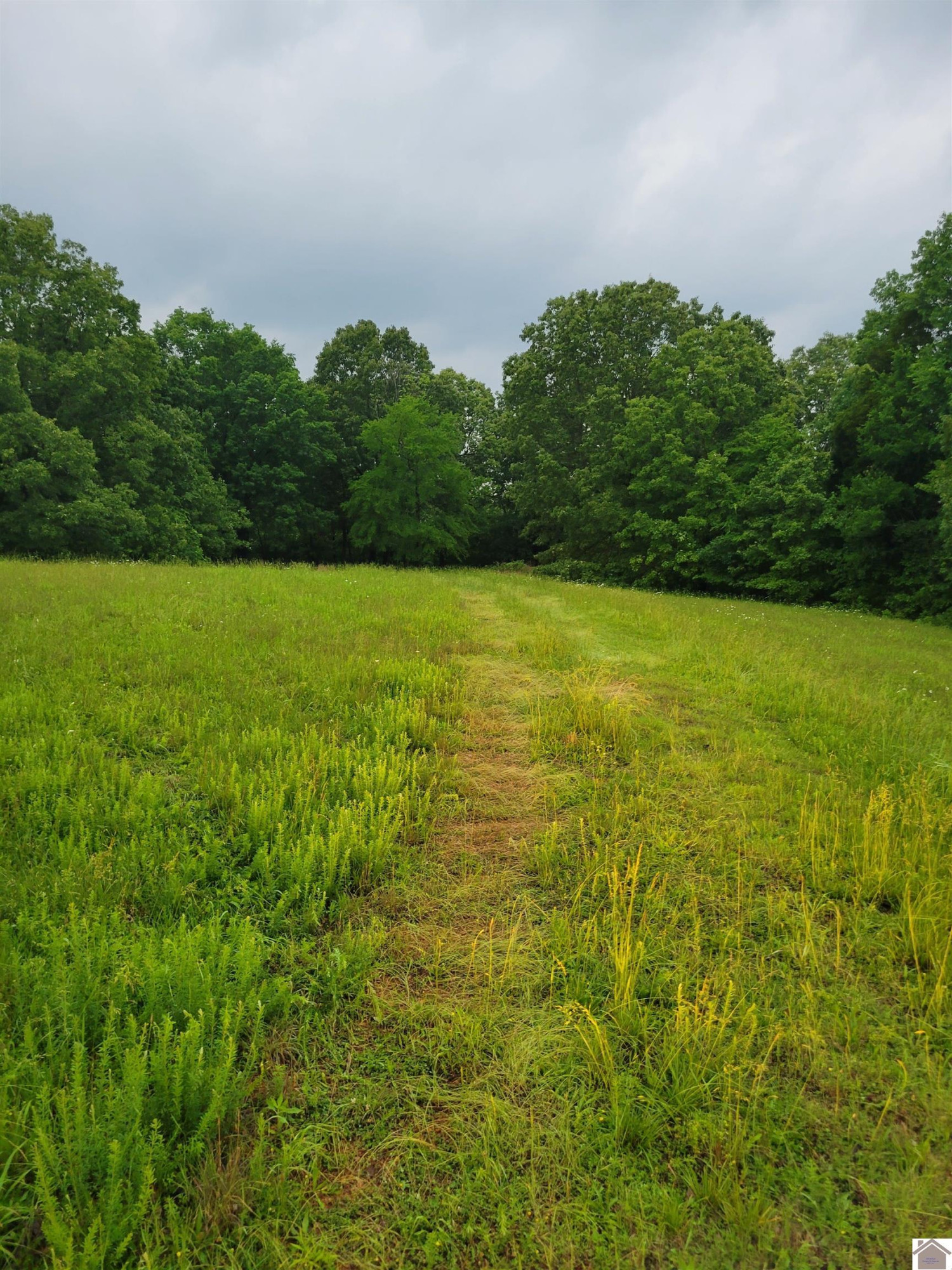 738 Rednour Road Smithland, KY 42081 - Photo 1 of 9 Photo 1