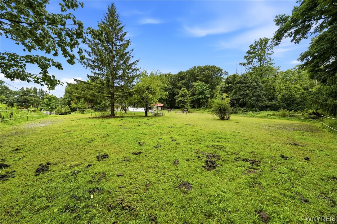 10573 N Road Perrysburg, NY 14129 - Photo 45 of 47 Gallery Image 45