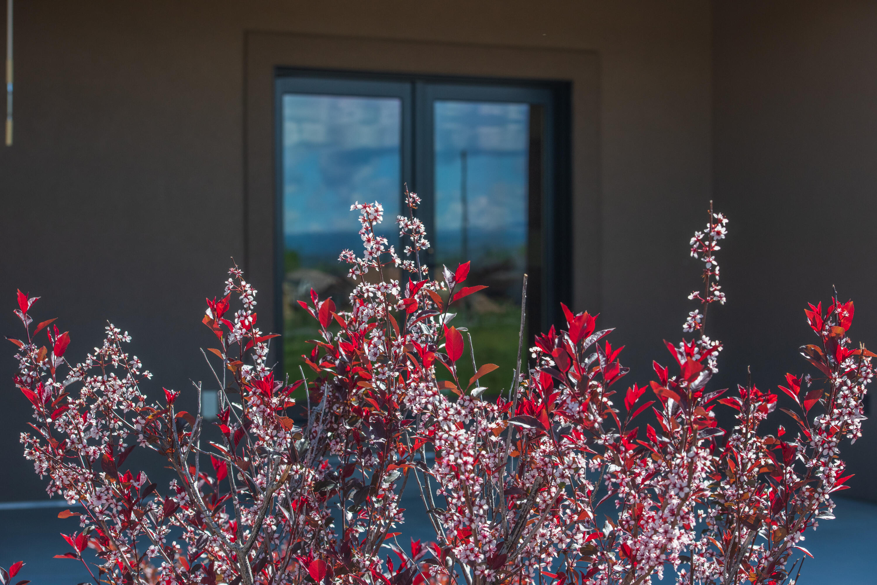 2724 Sleeping Bear Road Montrose, CO 81401 - Photo 5 of 21 2724 Sleeping Bear Spring-15