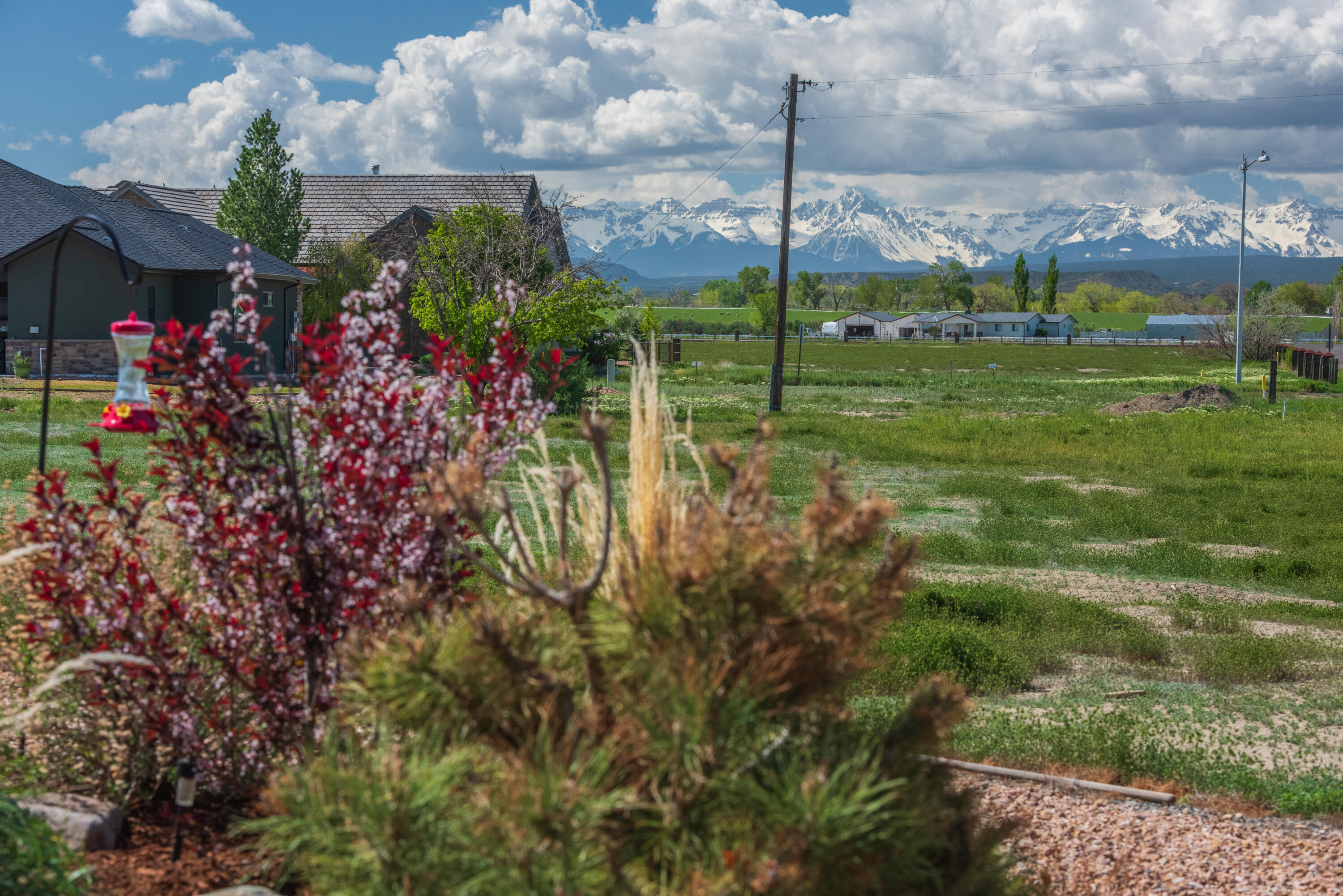 2724 Sleeping Bear Road Montrose, CO 81401 - Photo 6 of 21 2724 Sleeping Bear Spring-13