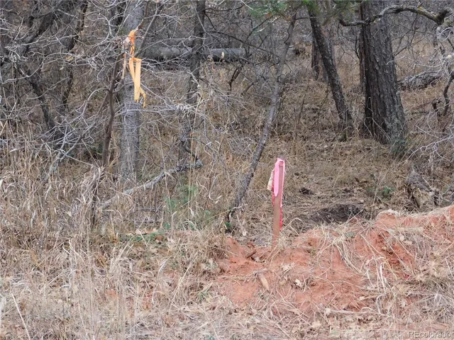 a backyard of a house with a yard