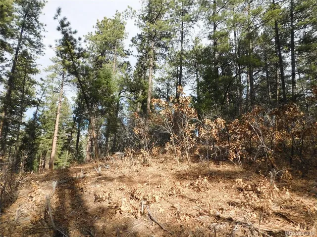 a view of covered with snow