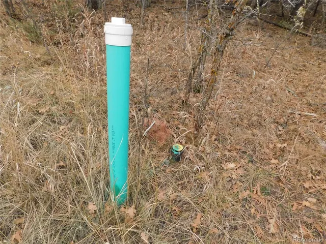 a view of a backyard with large trees