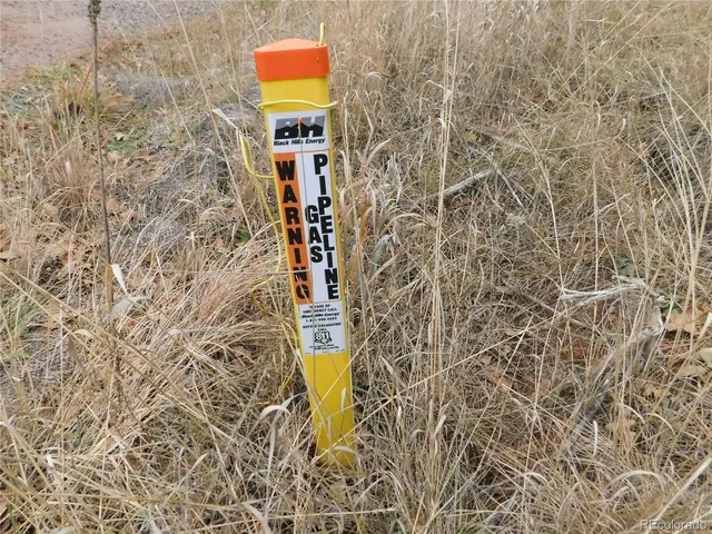 a view of a dry yard with trees