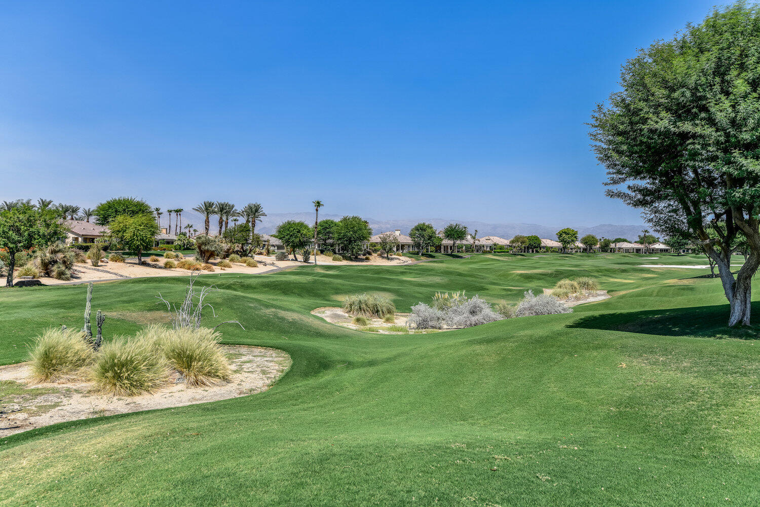 80538 Knightswood Road Indio, CA 92201 - Photo 2 of 32 a view of a golf course with a garden