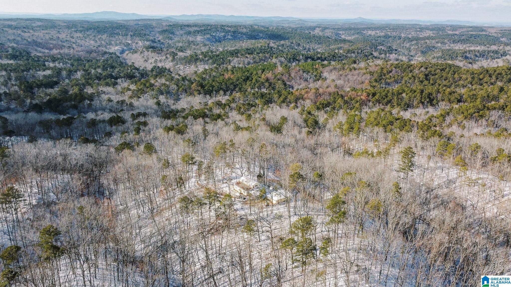 5325 Union T Road Talladega, AL 35160 - Photo 77 of 83
