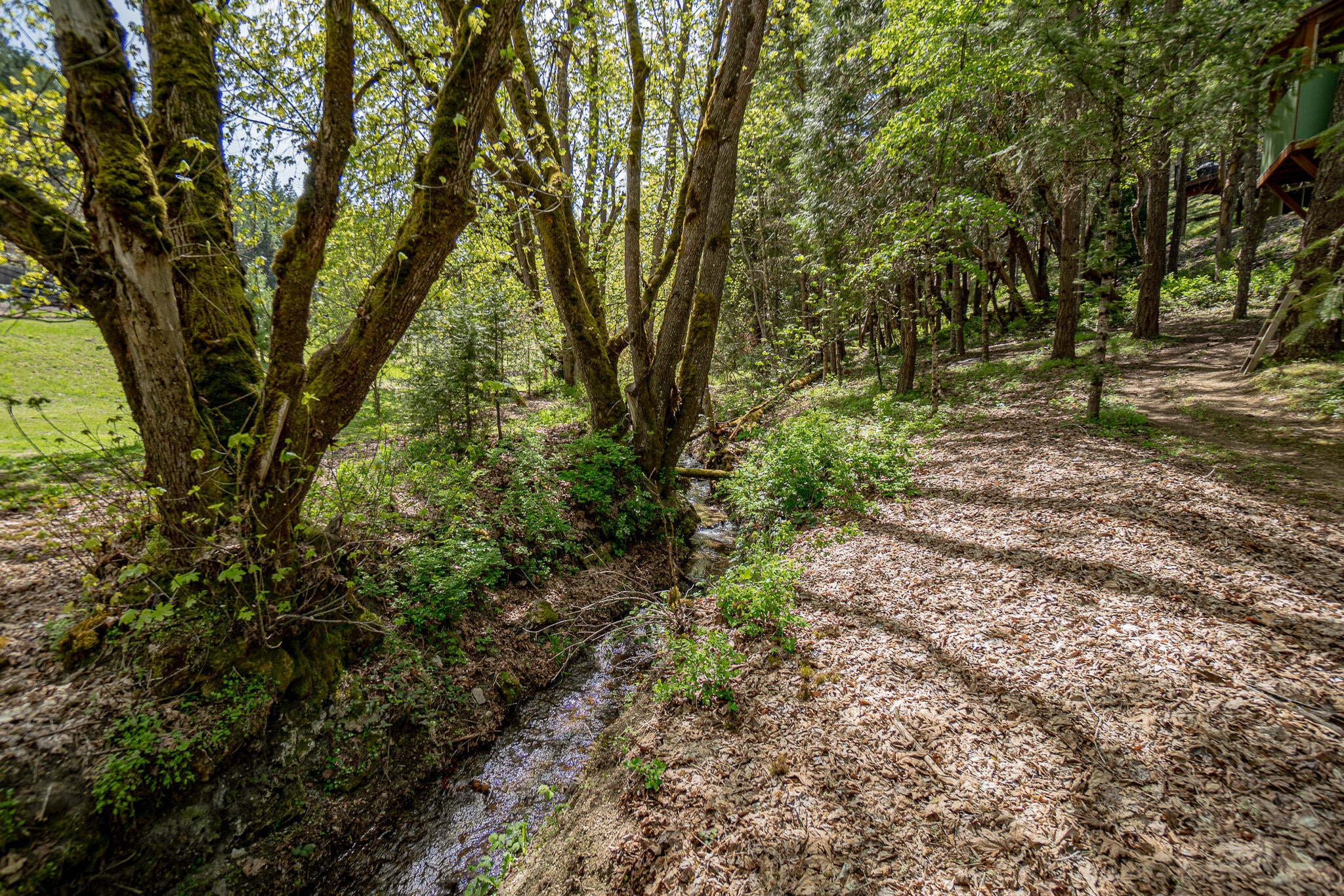 3200 Anderson Creek Road Talent, OR 97540 - Photo 60 of 69 DSC00934-HDR