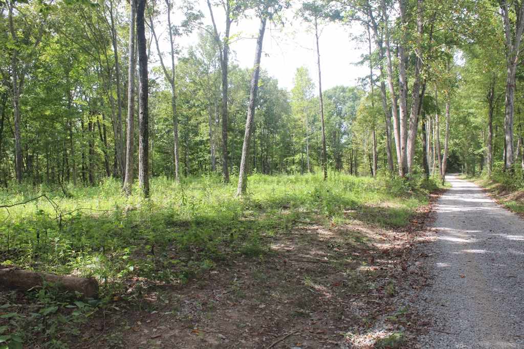 0 Poe Hill Road Elkton, KY 42220 - Photo 17 of 20 Gallery Image 17