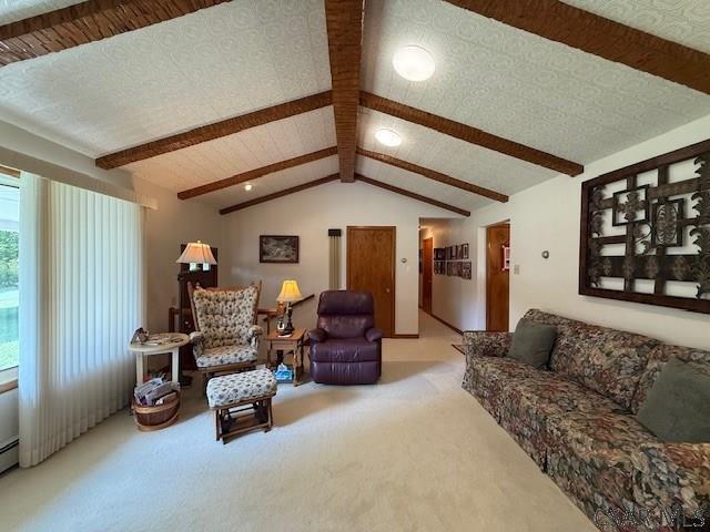 527 Maple Springs Road Hollsopple, PA 15935 - Photo 7 of 84 Gallery Image 7