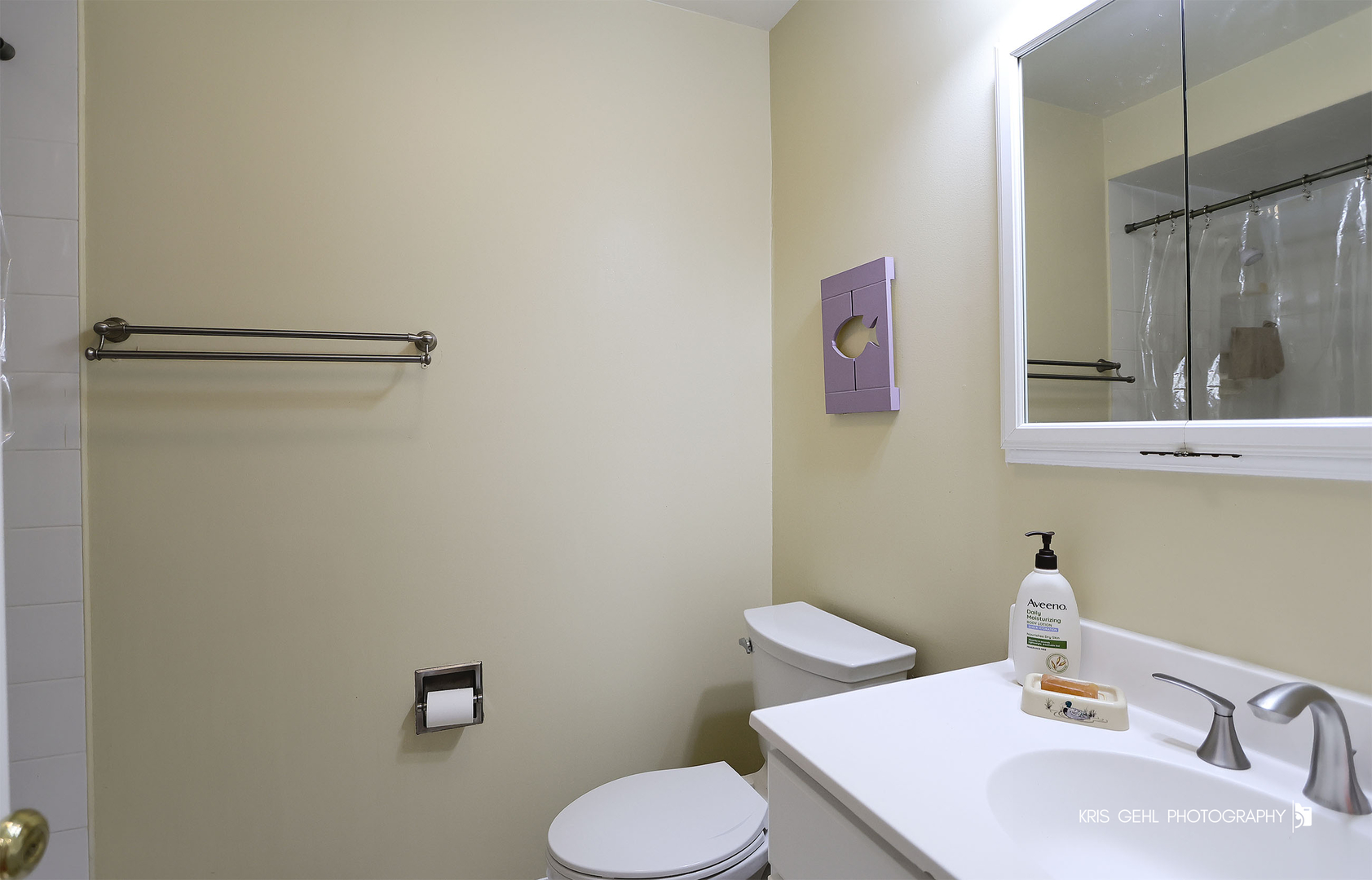 9209 Anthony Lane Spring Grove, IL 60081 - Photo 19 of 33 Gallery Image 19