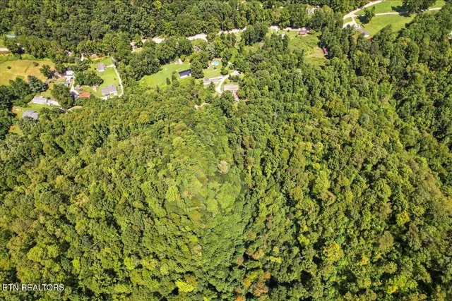 $420,000 | 20 Tan Trough Hollow, Evarts, KY 40828