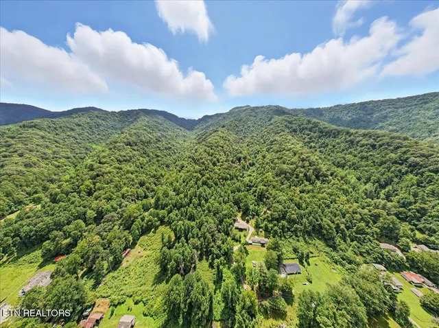 $420,000 | 20 Tan Trough Hollow, Evarts, KY 40828