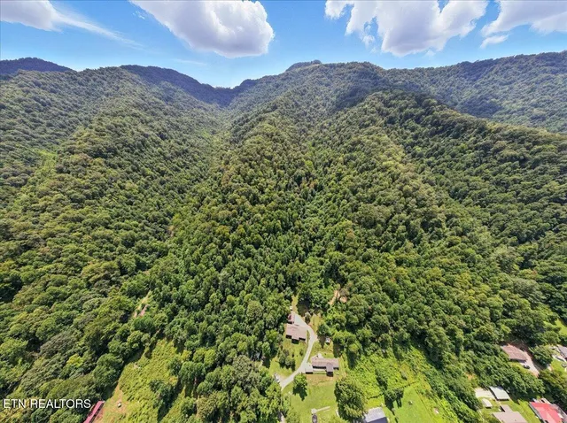 $420,000 | 20 Tan Trough Hollow, Evarts, KY 40828