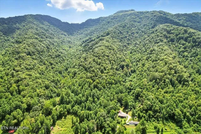 $420,000 | 20 Tan Trough Hollow, Evarts, KY 40828