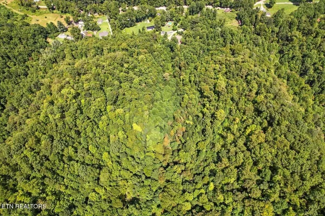 $420,000 | 20 Tan Trough Hollow, Evarts, KY 40828