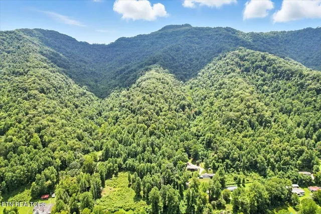 $420,000 | 20 Tan Trough Hollow, Evarts, KY 40828