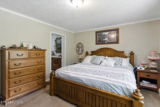 $420,000 | 20 Tan Trough Hollow, Evarts, KY 40828