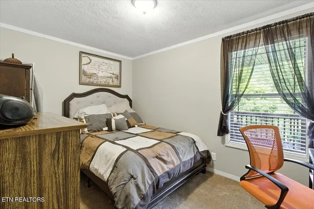 $420,000 | 20 Tan Trough Hollow, Evarts, KY 40828