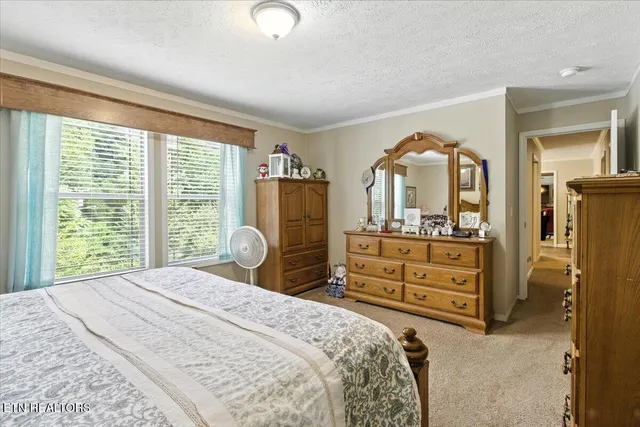 $420,000 | 20 Tan Trough Hollow, Evarts, KY 40828