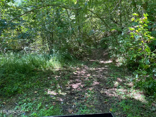 $420,000 | 20 Tan Trough Hollow, Evarts, KY 40828