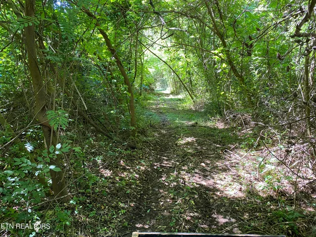 $420,000 | 20 Tan Trough Hollow, Evarts, KY 40828