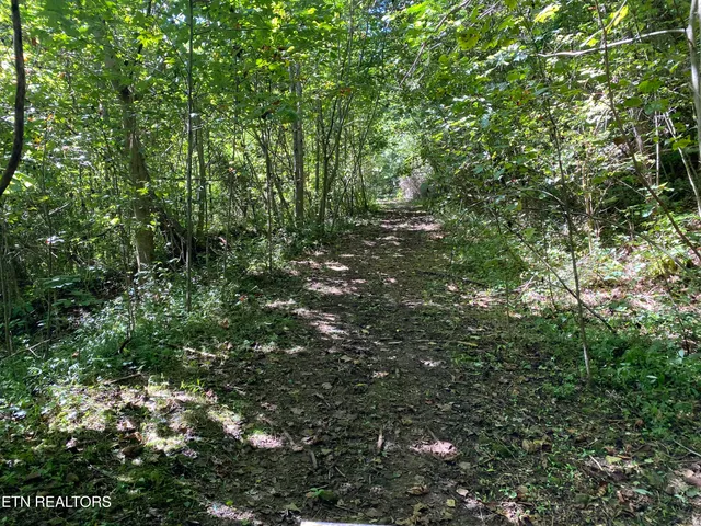 $420,000 | 20 Tan Trough Hollow, Evarts, KY 40828