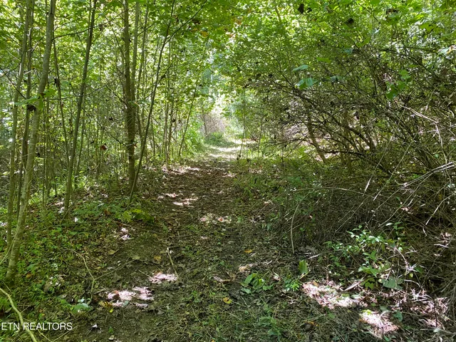 $420,000 | 20 Tan Trough Hollow, Evarts, KY 40828