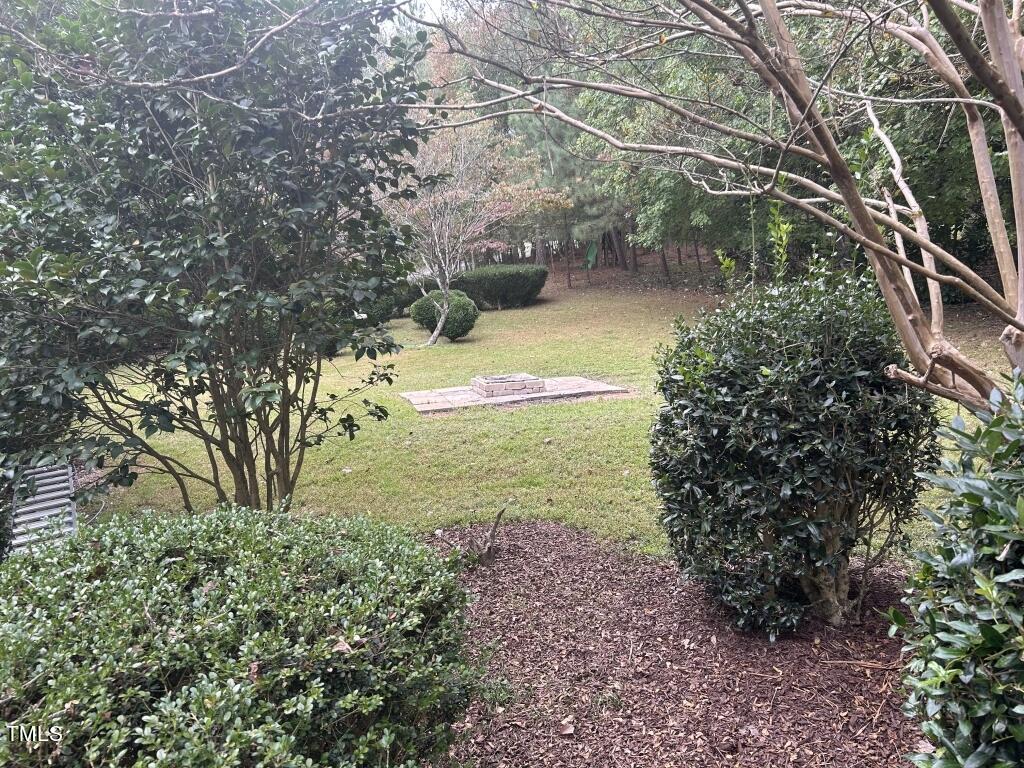 5109 Deer Forest Trail Raleigh, NC 27614 - Photo 23 of 35 23-Back yard