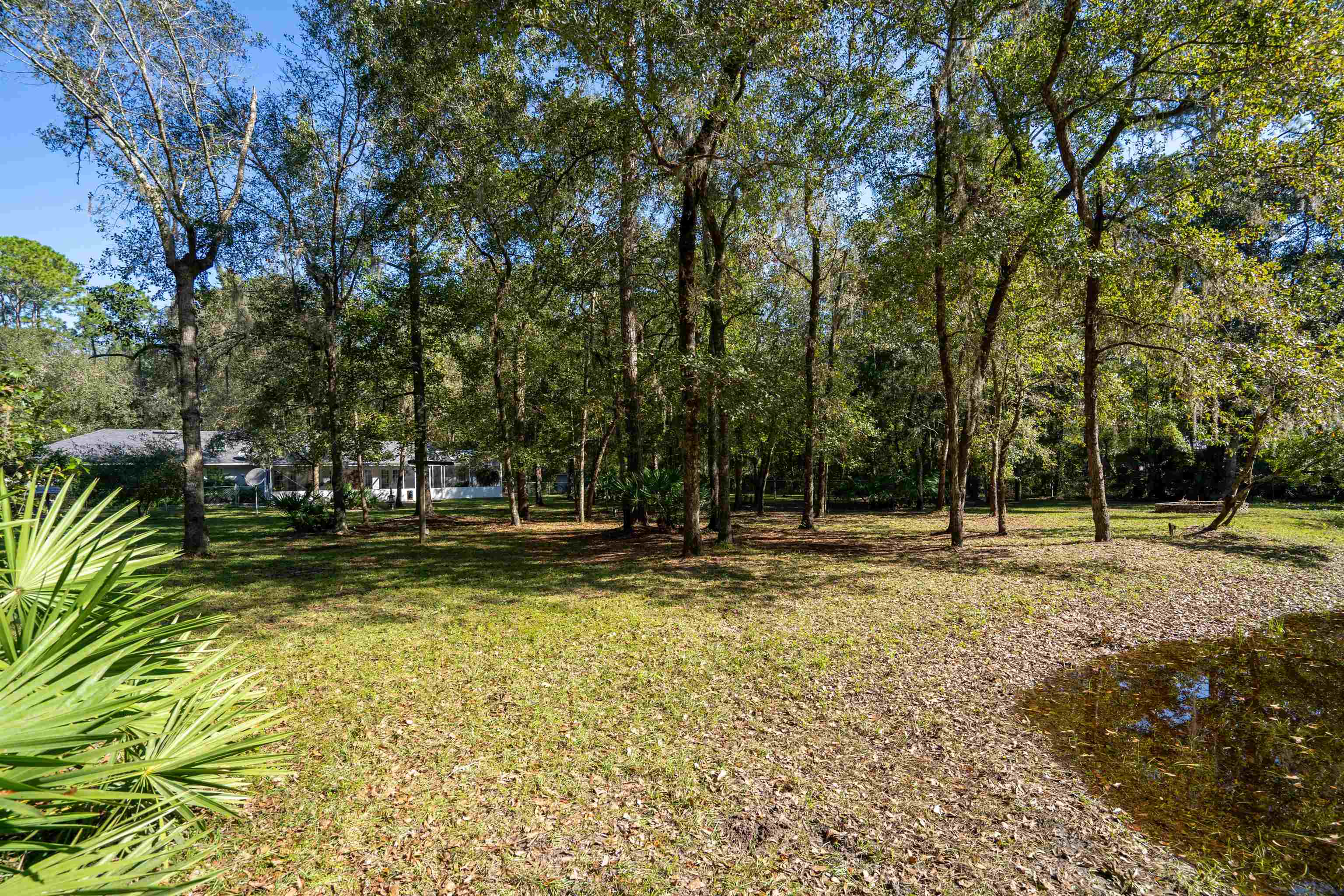 5525 St Ambrose Church Road Elkton, FL 32033 - Photo 36 of 66 a view of a yard with trees