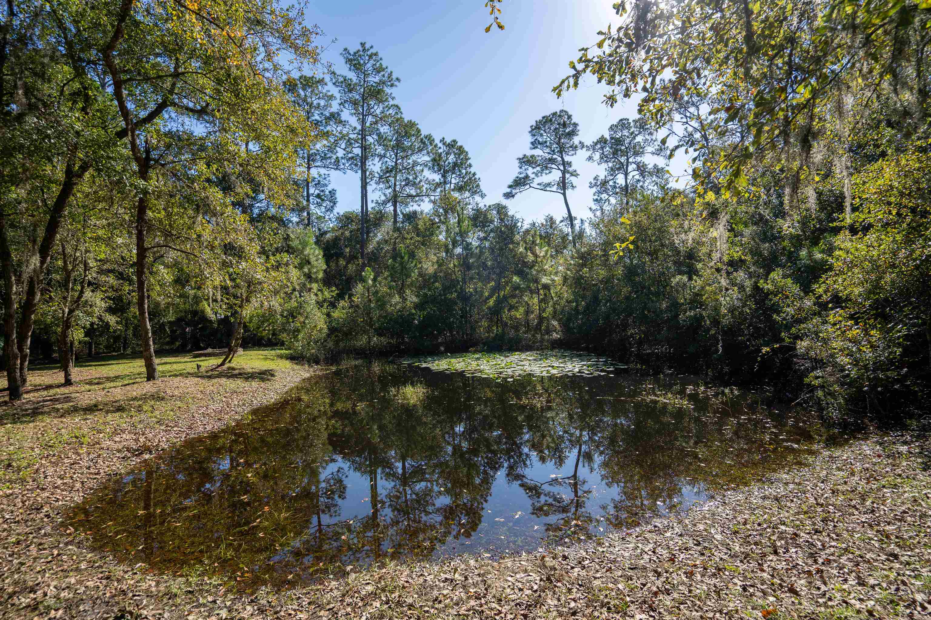 5525 St Ambrose Church Road Elkton, FL 32033 - Photo 37 of 66 a view of a yard with trees