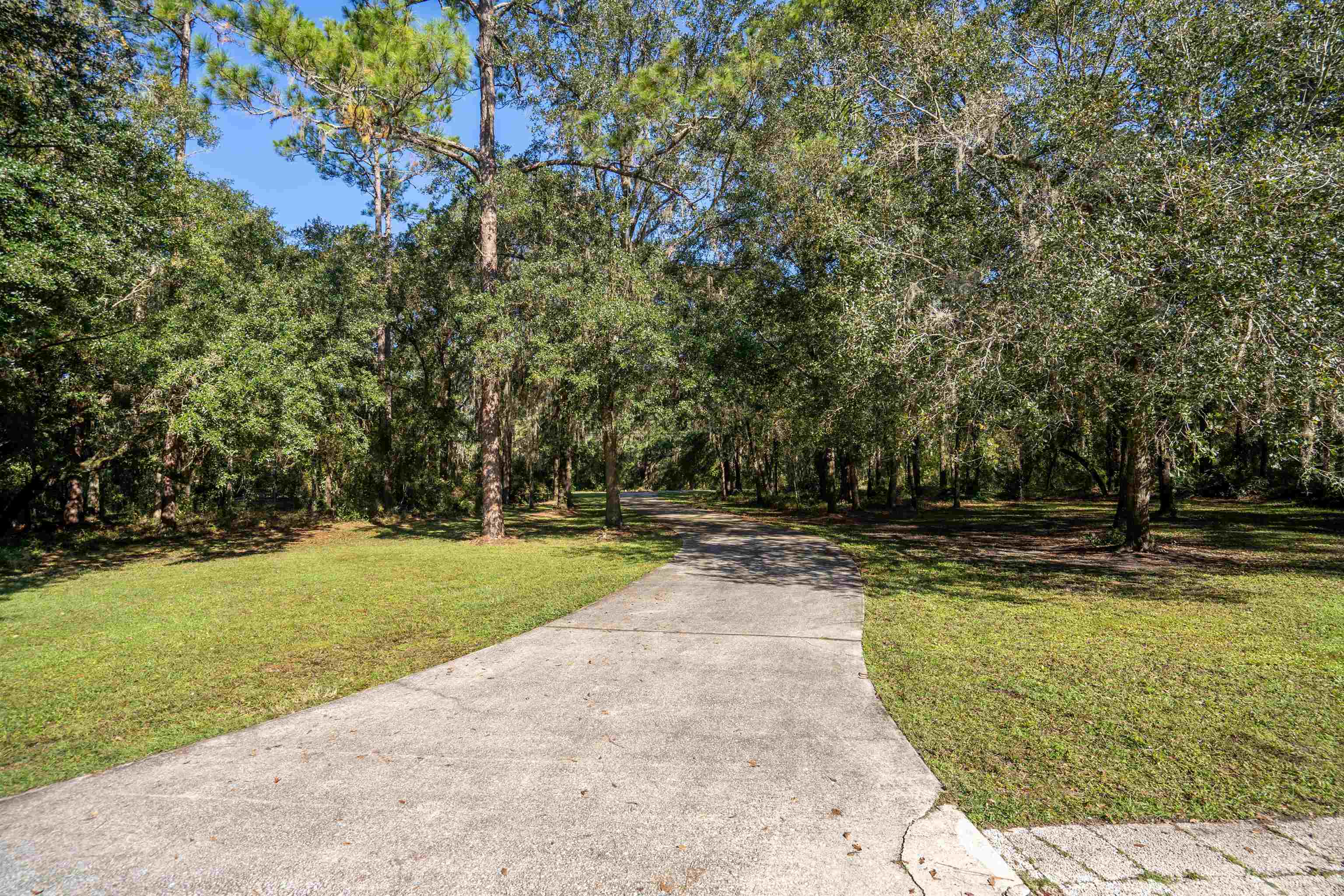 5525 St Ambrose Church Road Elkton, FL 32033 - Photo 54 of 66 a view of a swimming pool with a yard