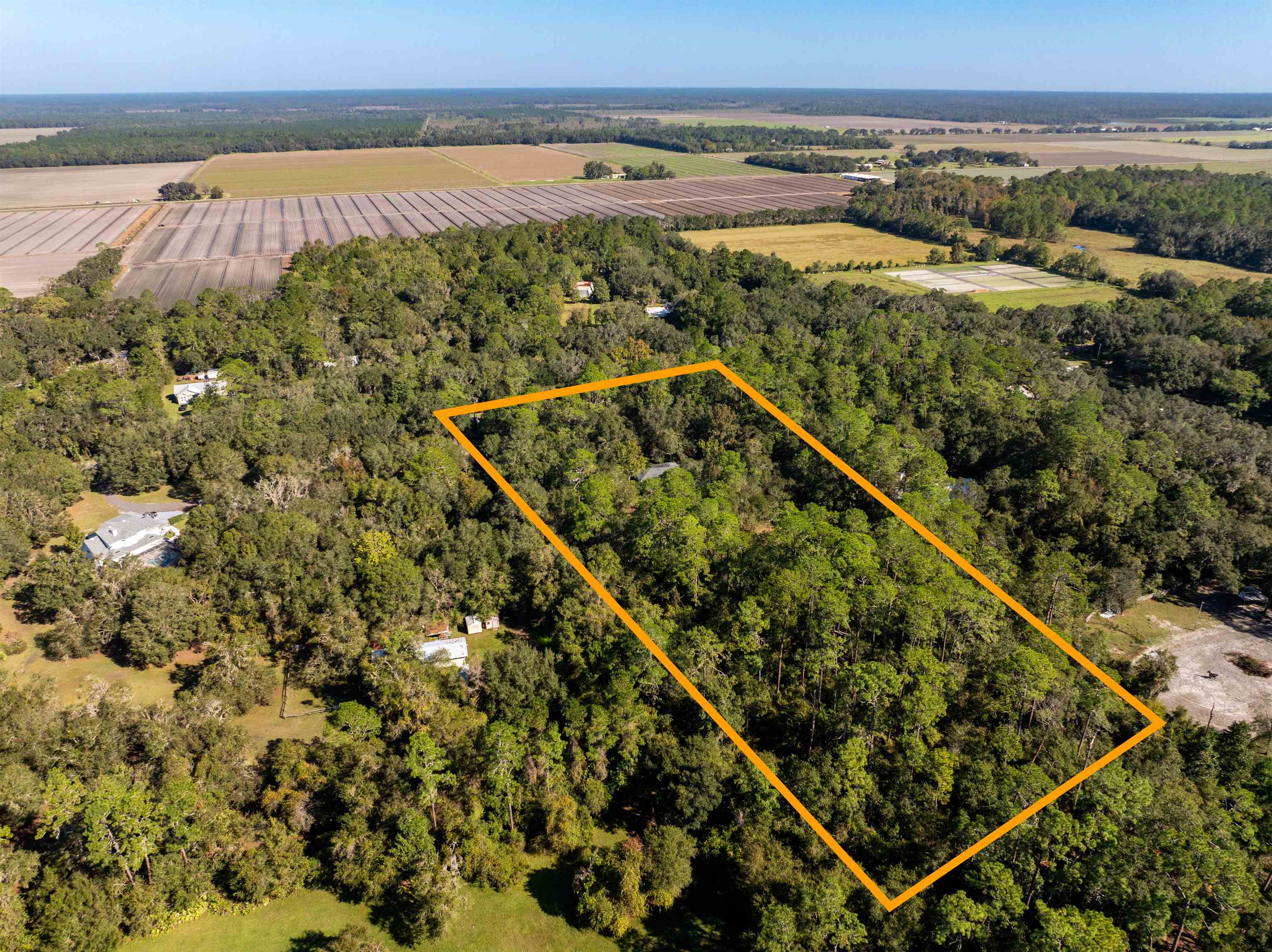 5525 St Ambrose Church Road Elkton, FL 32033 - Photo 61 of 66 a view of a lots of trees and buildings