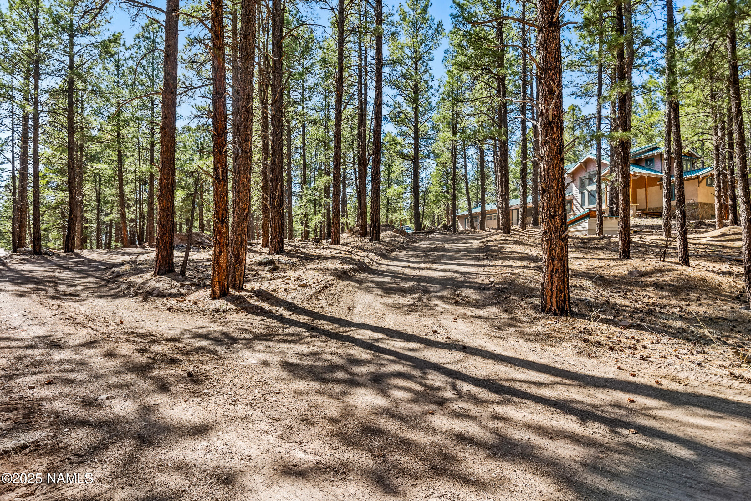 5325 Magdalena Road Flagstaff, AZ 86001 - Photo 34 of 36 Driveway to Property