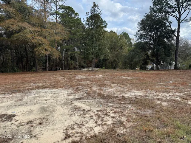 $18,000 | 0 Ellerbe Road, Rockingham, NC 28379