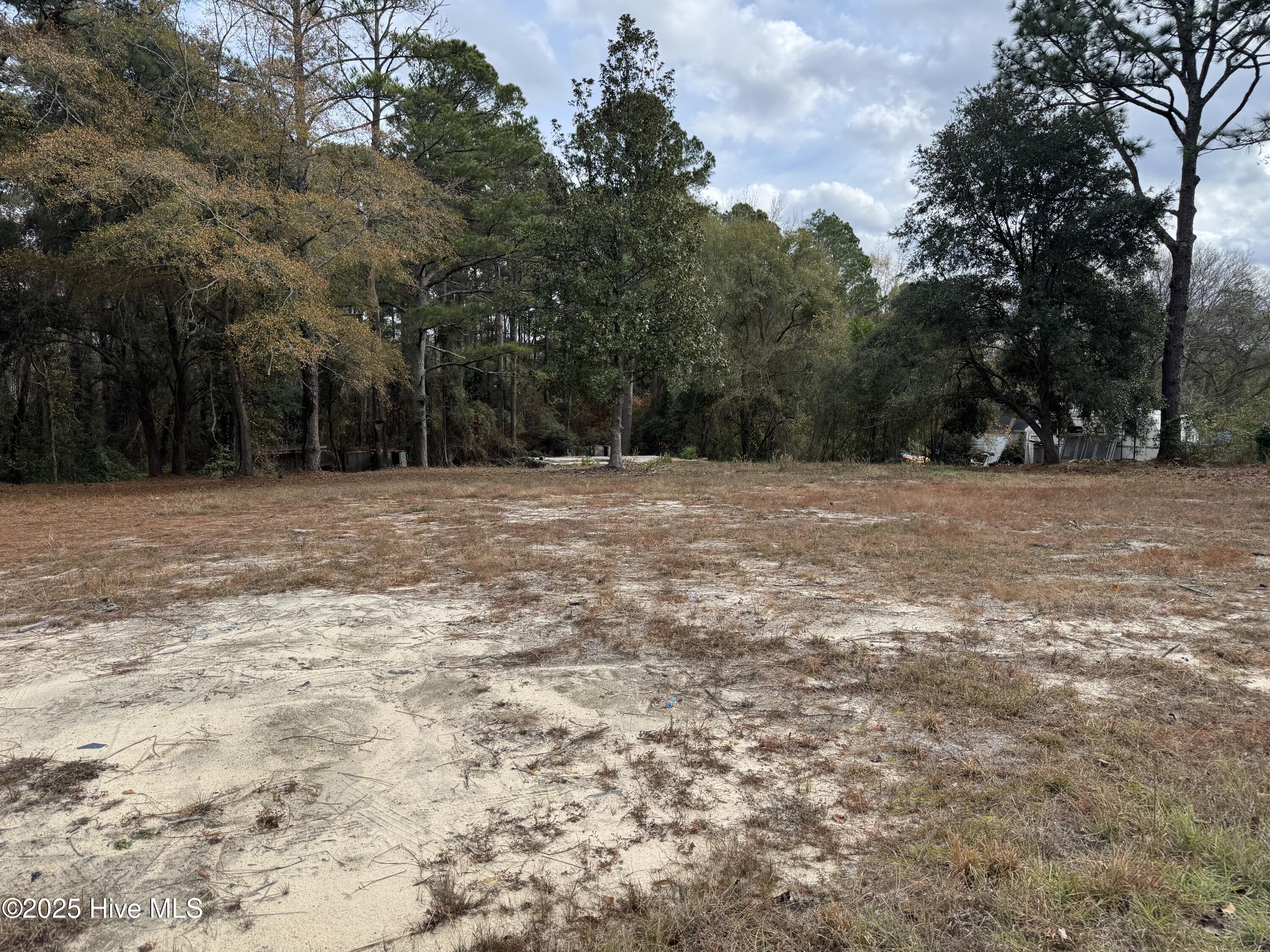 0 Ellerbe Road Rockingham, NC 28379 - Photo 1 of 4 Ellerbe 7