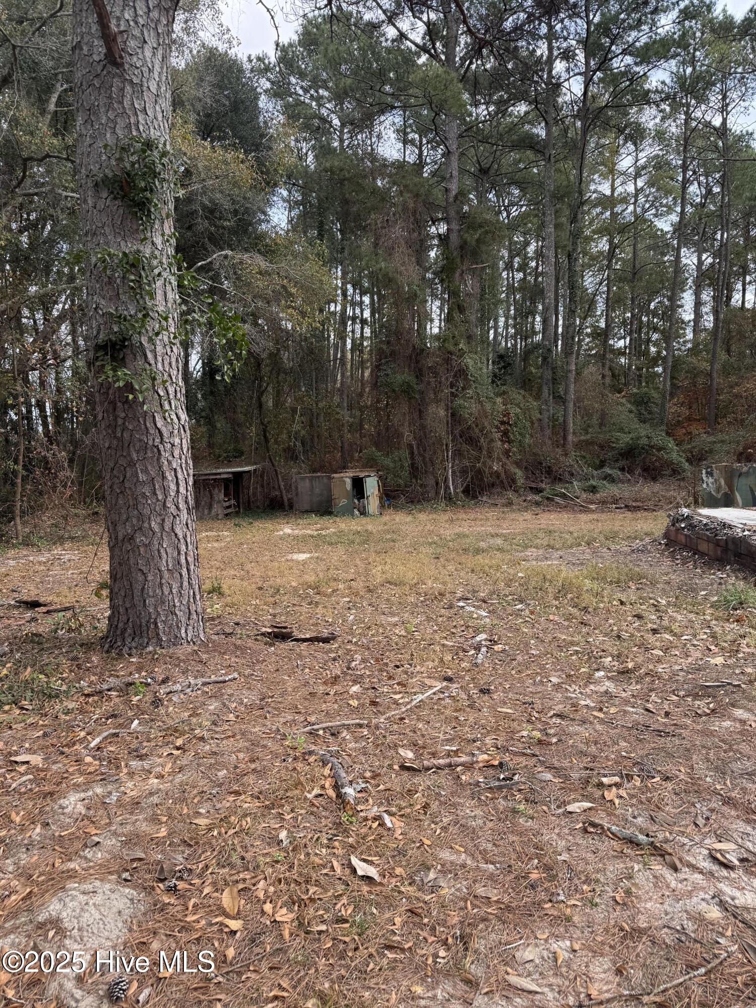 0 Ellerbe Road Rockingham, NC 28379 - Photo 2 of 4 IMG_3946