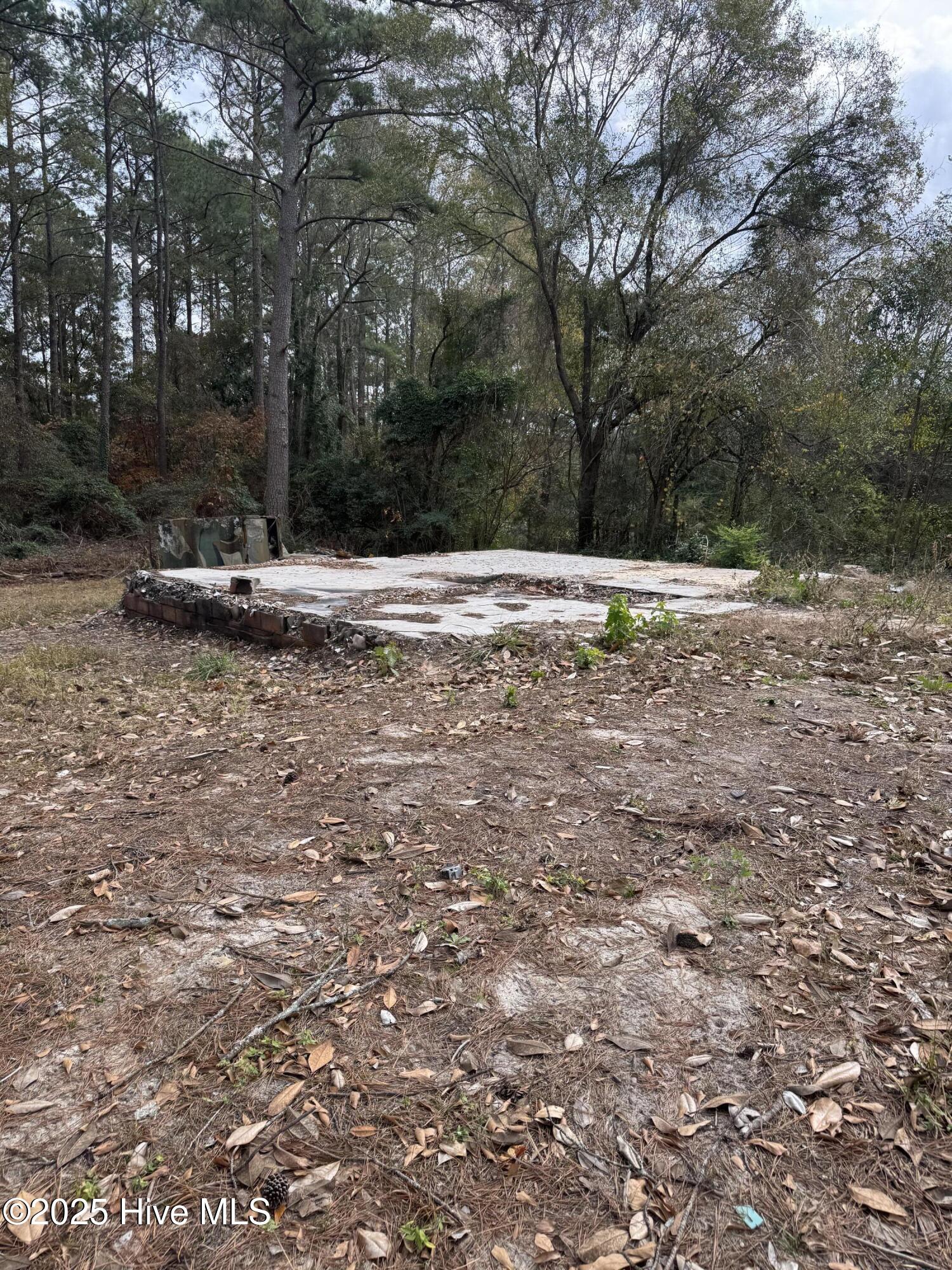 0 Ellerbe Road Rockingham, NC 28379 - Photo 3 of 4 IMG_3945