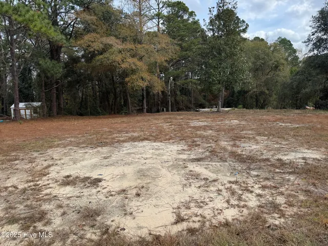 $18,000 | 0 Ellerbe Road, Rockingham, NC 28379