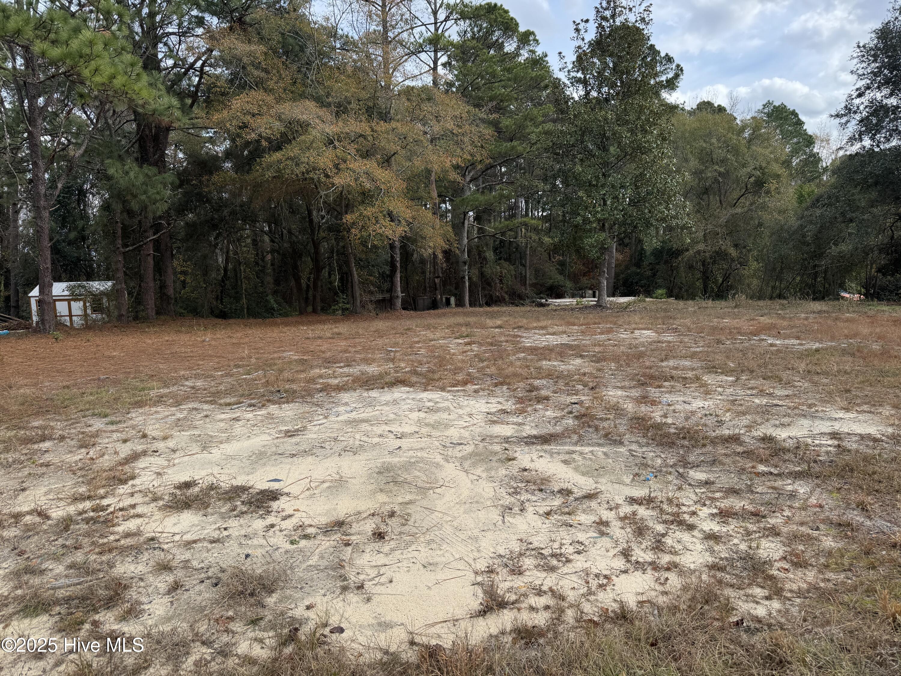 0 Ellerbe Road Rockingham, NC 28379 - Photo 4 of 4 Ellerbe 8