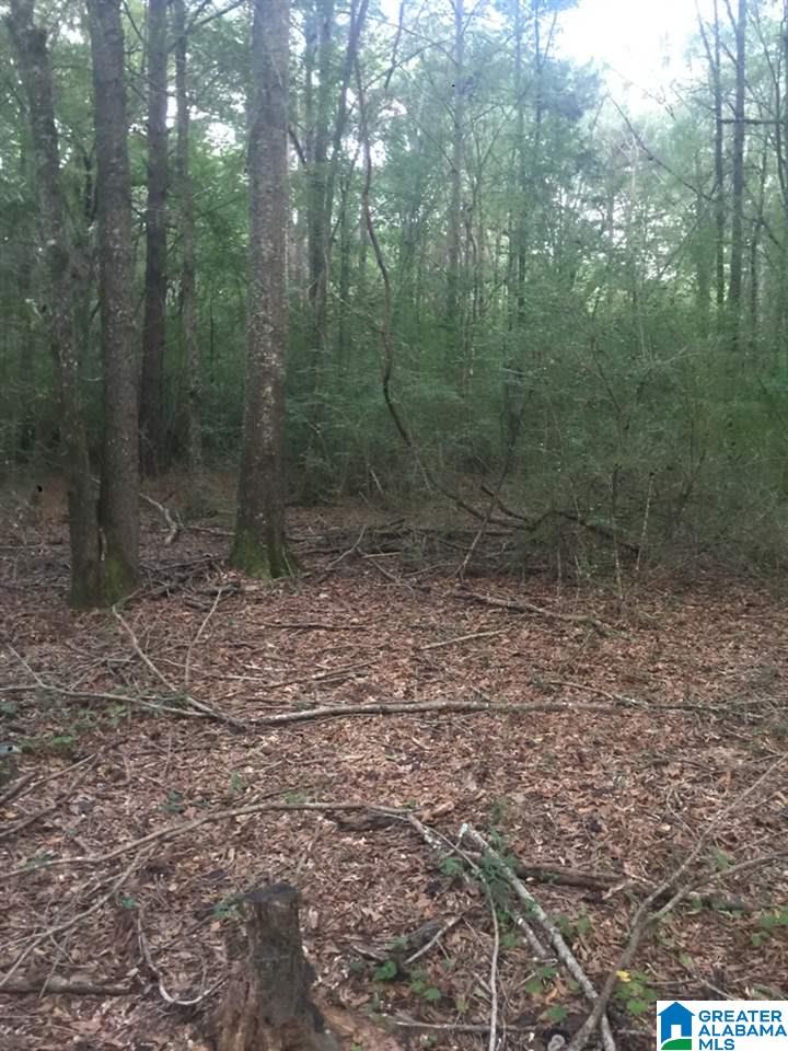 0 Blue Eye Springs Road, Unit 1 Lincoln, AL 35096 - Photo 23 of 24