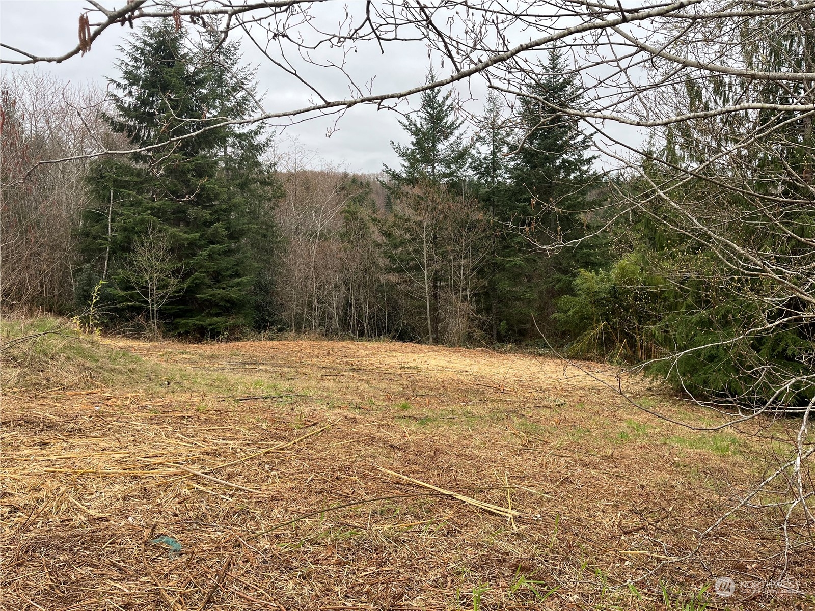 56 Fern Hill Road, Unit LOT 2 Cathlamet, WA 98612 - Photo 3 of 17 a backyard of a house