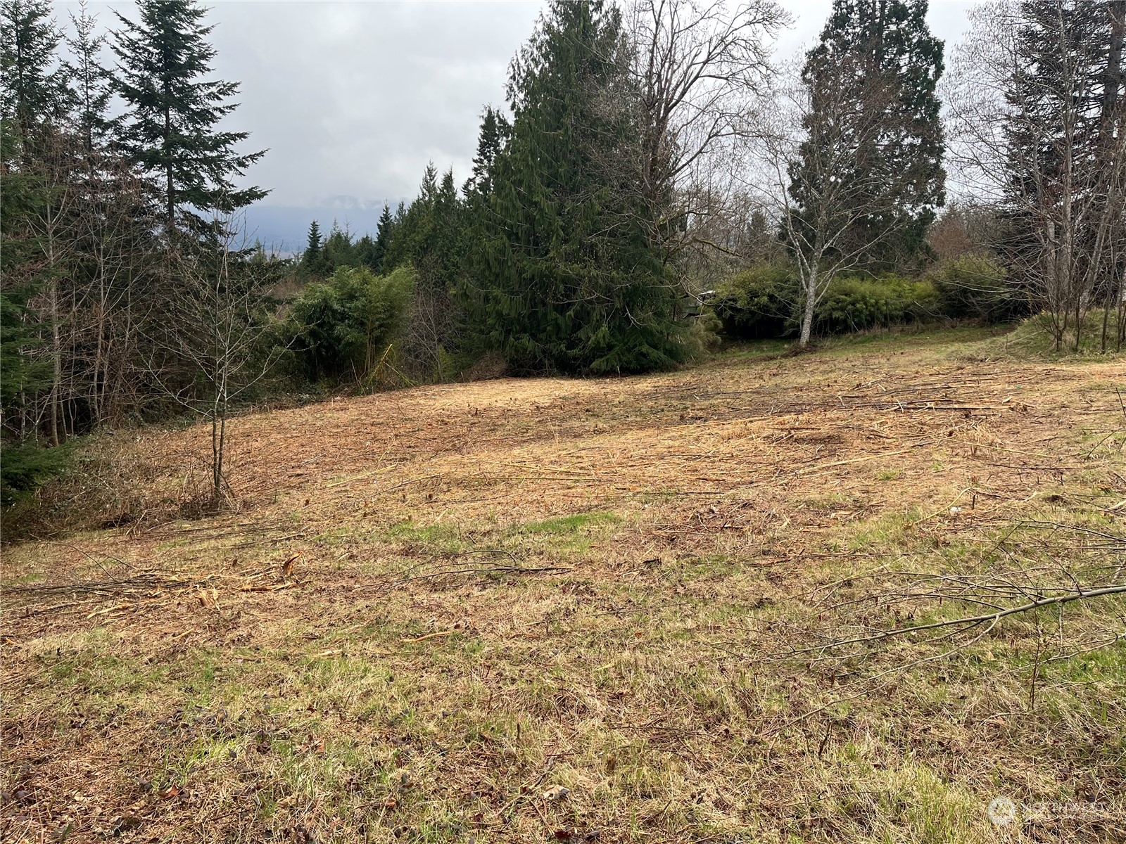 56 Fern Hill Road, Unit LOT 2 Cathlamet, WA 98612 - Photo 4 of 17 a backyard of a house with lots of green space