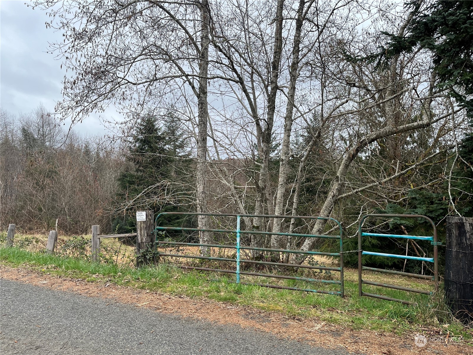 56 Fern Hill Road, Unit LOT 2 Cathlamet, WA 98612 - Photo 7 of 17 a view of a park