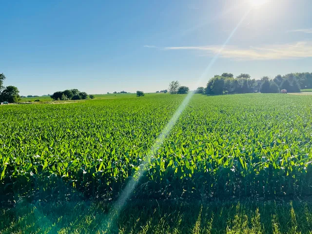 $249,000 | 0 East 8th Road, Utica, IL 61373