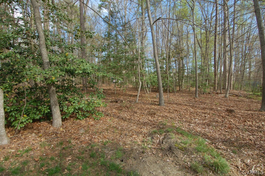 13312 Queensgate Road Midlothian, VA 23114 - Photo 4 of 24 Gallery Image 4