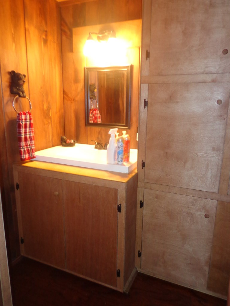 9547 Big Creek Road Ellijay, GA 30536 - Photo 38 of 82 a bathroom with a sink and a mirror