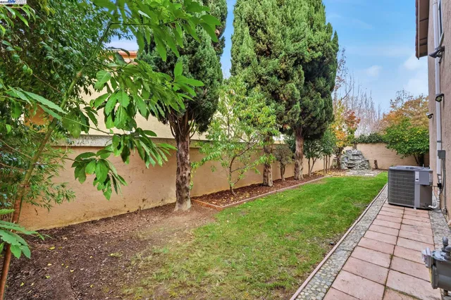 a view of a garden with plants
